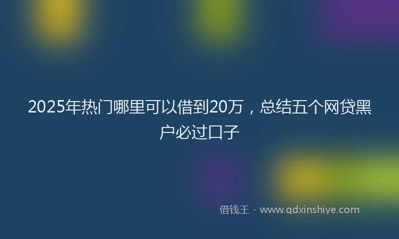 2025年热门哪里可以借到20万，总结五个网贷黑户必过口子