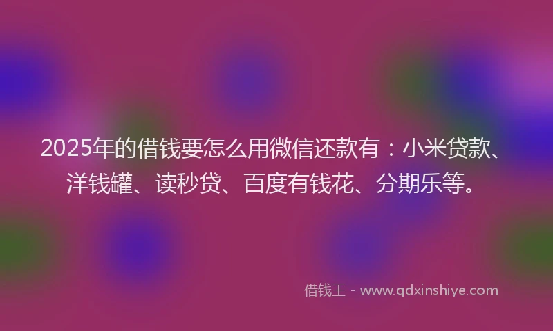 2025年的借钱要怎么用微信还款有：小米贷款、洋钱罐、读秒贷、百度有钱花、分期乐等。