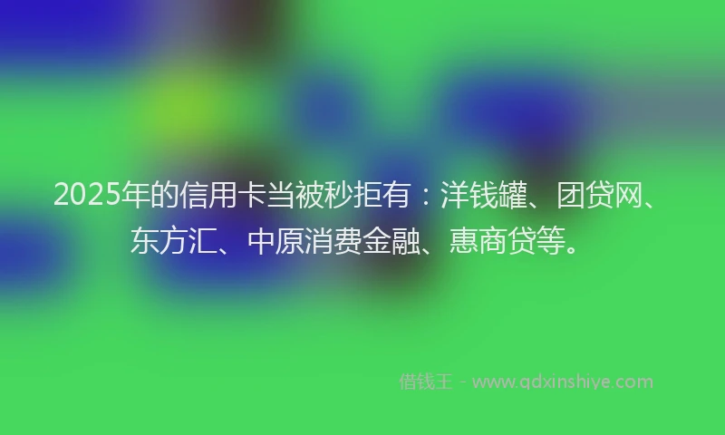 2025年的信用卡当被秒拒有：洋钱罐、团贷网、东方汇、中原消费金融、惠商贷等。