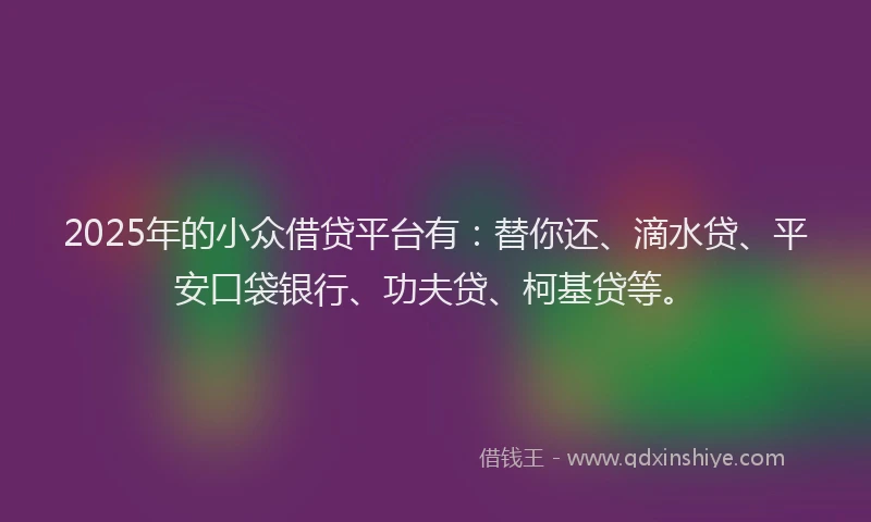 2025年的小众借贷平台有：替你还、滴水贷、平安口袋银行、功夫贷、柯基贷等。