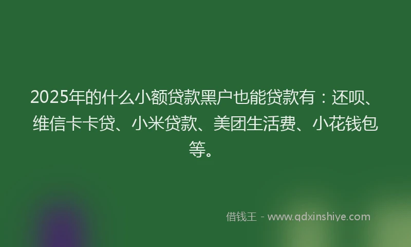 2025年的什么小额贷款黑户也能贷款有：还呗、维信卡卡贷、小米贷款、美团生活费、小花钱包等。