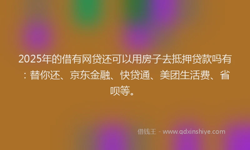2025年的借有网贷还可以用房子去抵押贷款吗有：替你还、京东金融、快贷通、美团生活费、省呗等。