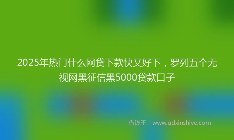 2025年热门什么网贷下款快又好下，罗列五个无视网黑征信黑5000贷款口子