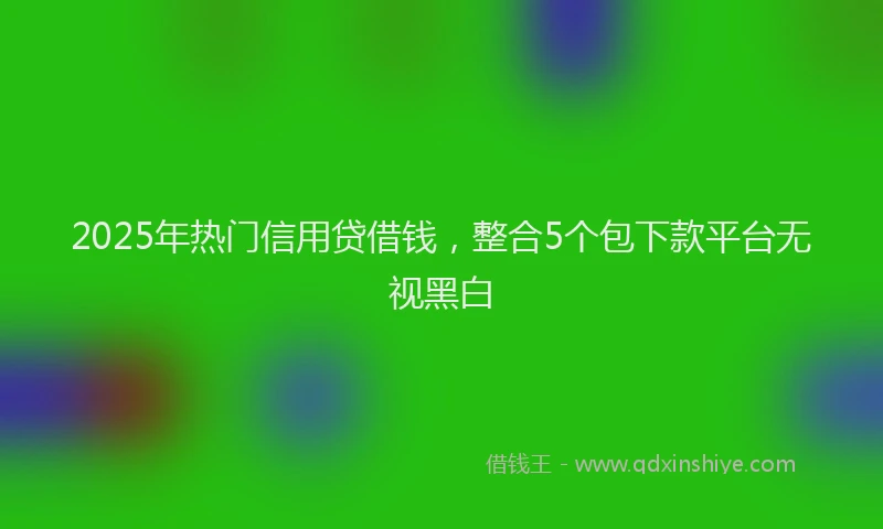 2025年热门信用贷借钱，整合5个包下款平台无视黑白