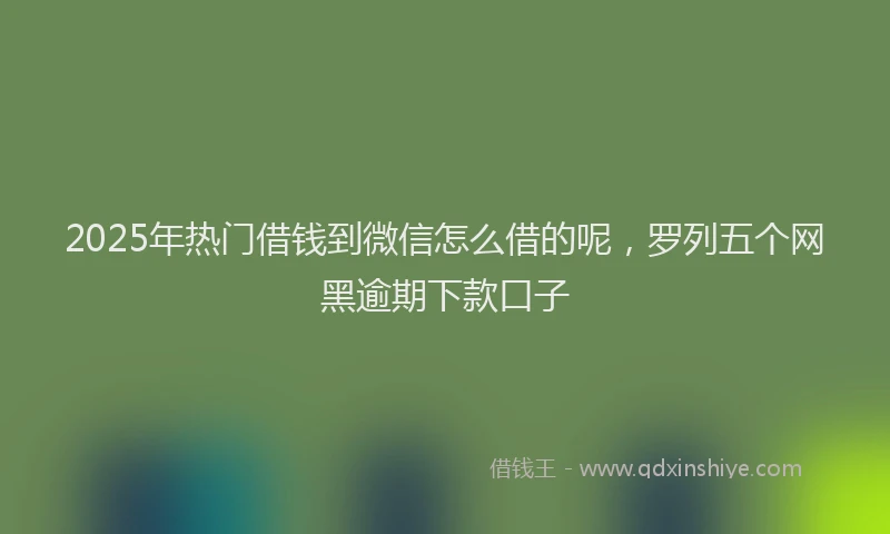 2025年热门借钱到微信怎么借的呢，罗列五个网黑逾期下款口子