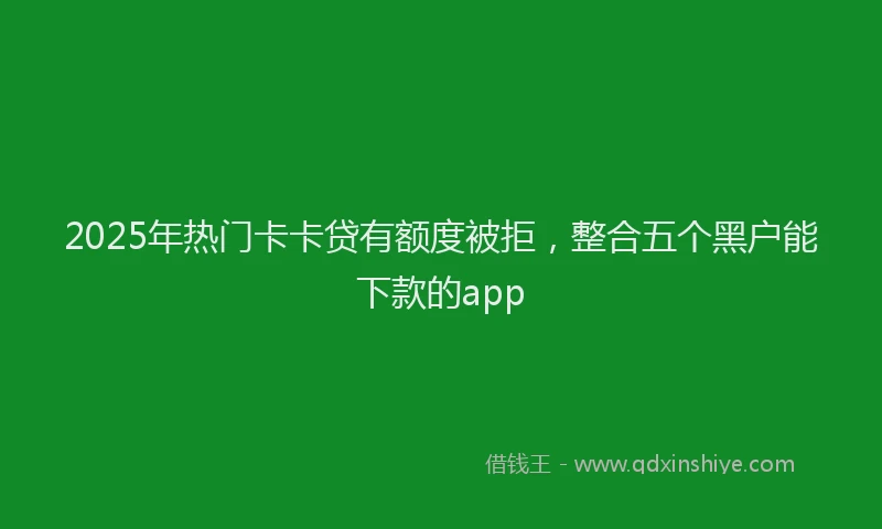 2025年热门卡卡贷有额度被拒，整合五个黑户能下款的app