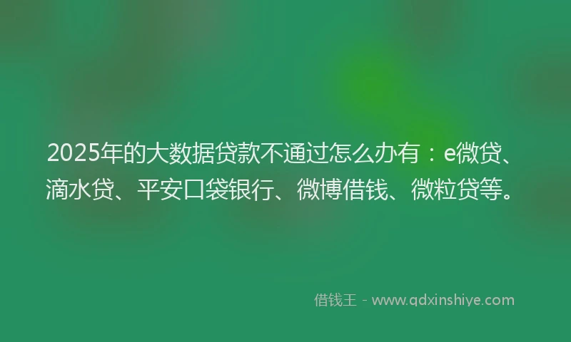 2025年的大数据贷款不通过怎么办有：e微贷、滴水贷、平安口袋银行、微博借钱、微粒贷等。