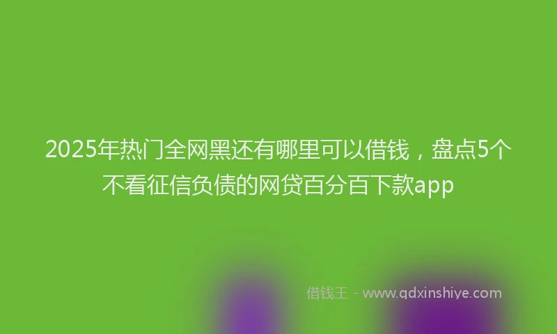 2025年热门全网黑还有哪里可以借钱，盘点5个不看征信负债的网贷百分百下款app