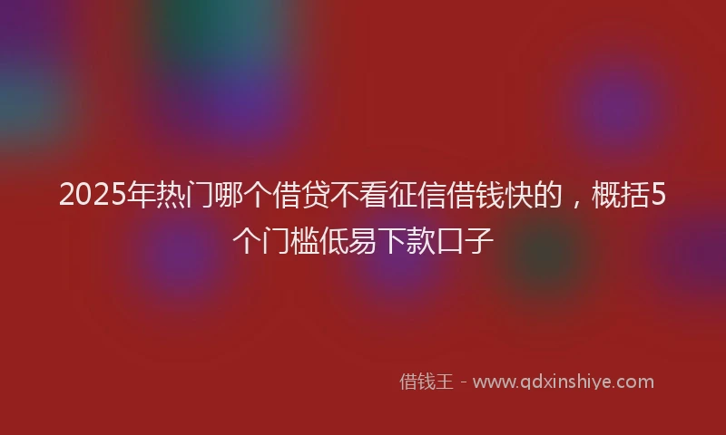 2025年热门哪个借贷不看征信借钱快的，概括5个门槛低易下款口子