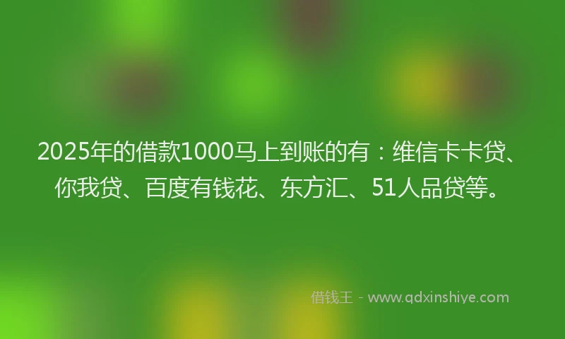 2025年的借款1000马上到账的有：维信卡卡贷、你我贷、百度有钱花、东方汇、51人品贷等。