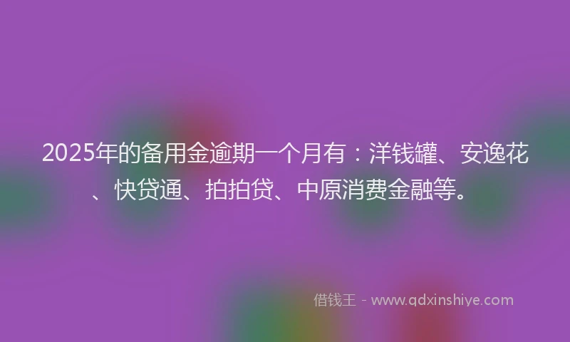 2025年的备用金逾期一个月有：洋钱罐、安逸花、快贷通、拍拍贷、中原消费金融等。
