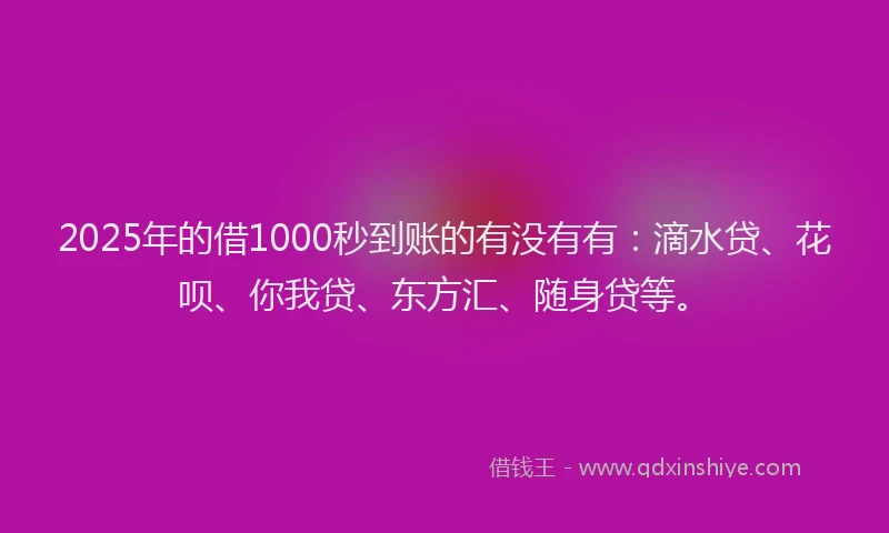 2025年的借1000秒到账的有没有有：滴水贷、花呗、你我贷、东方汇、随身贷等。