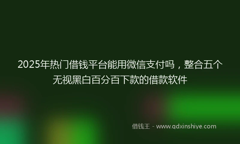 2025年热门借钱平台能用微信支付吗，整合五个无视黑白百分百下款的借款软件