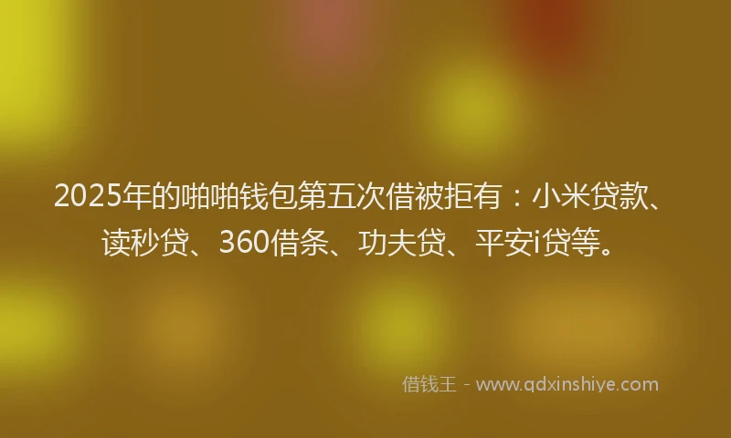 2025年的啪啪钱包第五次借被拒有：小米贷款、读秒贷、360借条、功夫贷、平安i贷等。