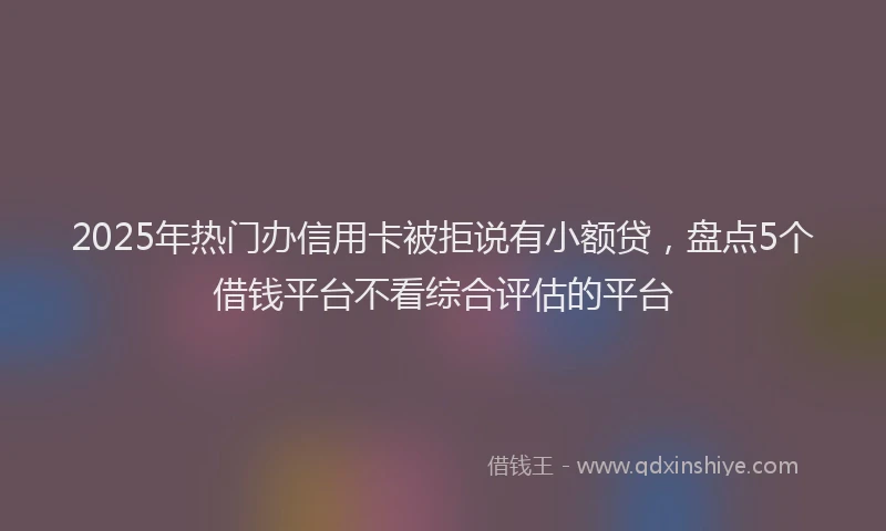 2025年热门办信用卡被拒说有小额贷，盘点5个借钱平台不看综合评估的平台