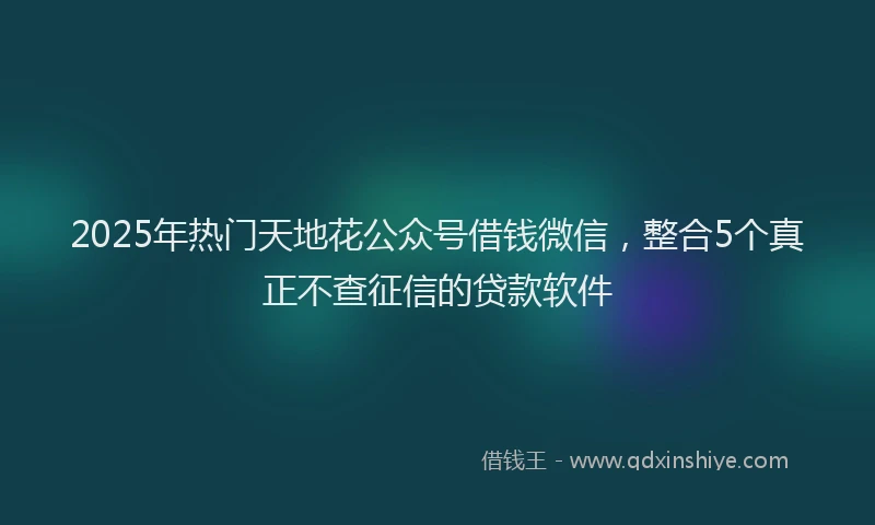 2025年热门天地花公众号借钱微信，整合5个真正不查征信的贷款软件