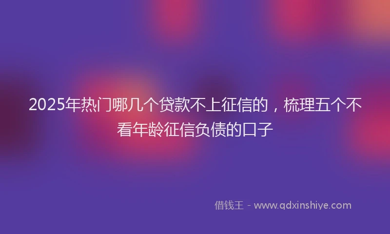 2025年热门哪几个贷款不上征信的，梳理五个不看年龄征信负债的口子