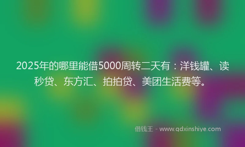 2025年的哪里能借5000周转二天有：洋钱罐、读秒贷、东方汇、拍拍贷、美团生活费等。