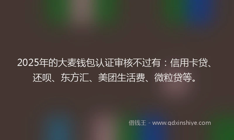 2025年的大麦钱包认证审核不过有：信用卡贷、还呗、东方汇、美团生活费、微粒贷等。