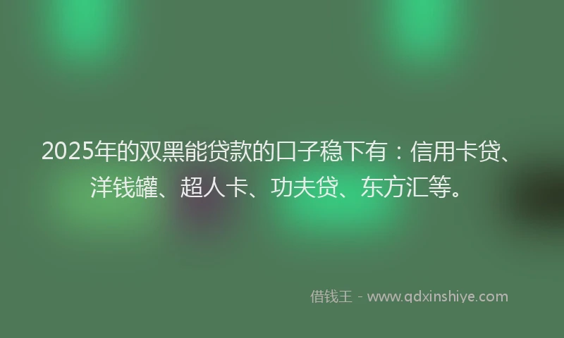 2025年的双黑能贷款的口子稳下有：信用卡贷、洋钱罐、超人卡、功夫贷、东方汇等。