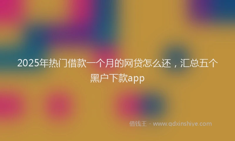2025年热门借款一个月的网贷怎么还,汇总五个黑户下款app