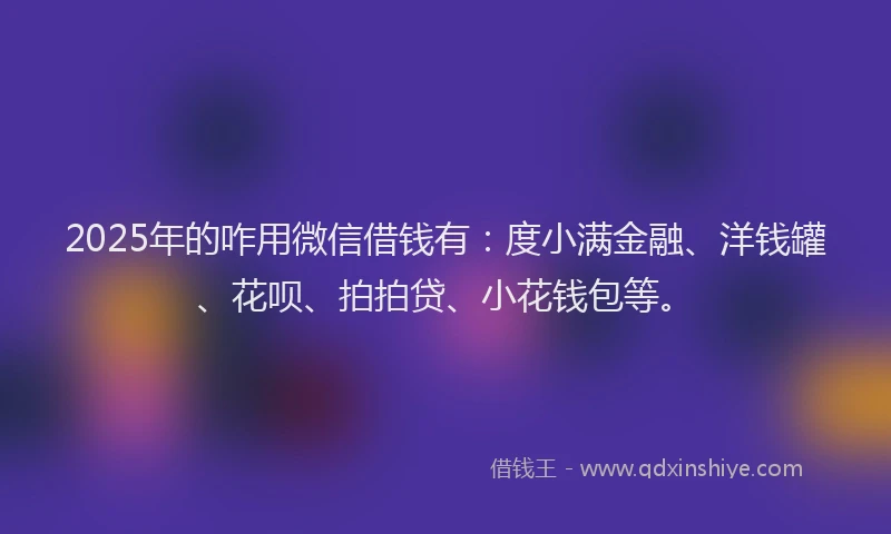 2025年的咋用微信借钱有：度小满金融、洋钱罐、花呗、拍拍贷、小花钱包等。
