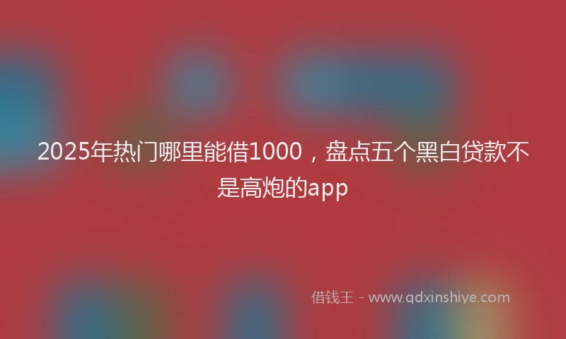 2025年热门哪里能借1000，盘点五个黑白贷款不是高炮的app