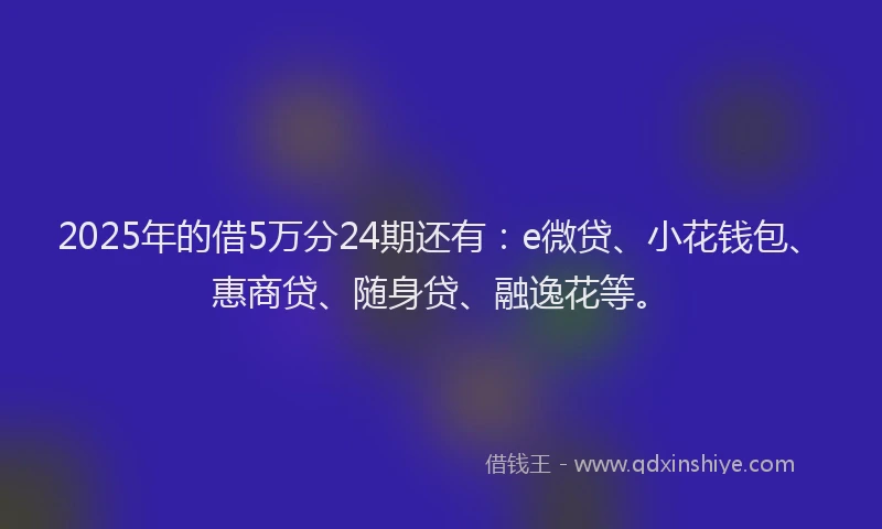 2025年的借5万分24期还有：e微贷、小花钱包、惠商贷、随身贷、融逸花等。