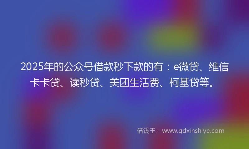 2025年的公众号借款秒下款的有：e微贷、维信卡卡贷、读秒贷、美团生活费、柯基贷等。