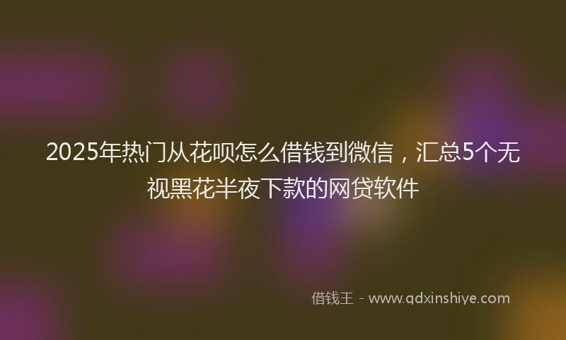 2025年热门从花呗怎么借钱到微信，汇总5个无视黑花半夜下款的网贷软件