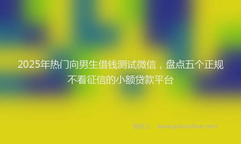 2025年热门向男生借钱测试微信，盘点五个正规不看征信的小额贷款平台