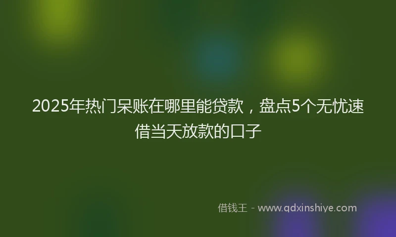 2025年热门呆账在哪里能贷款，盘点5个无忧速借当天放款的口子