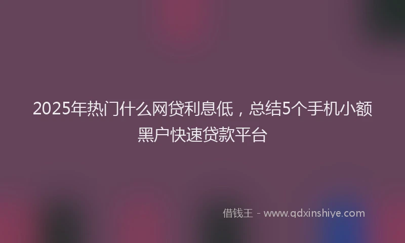 2025年热门什么网贷利息低，总结5个手机小额黑户快速贷款平台