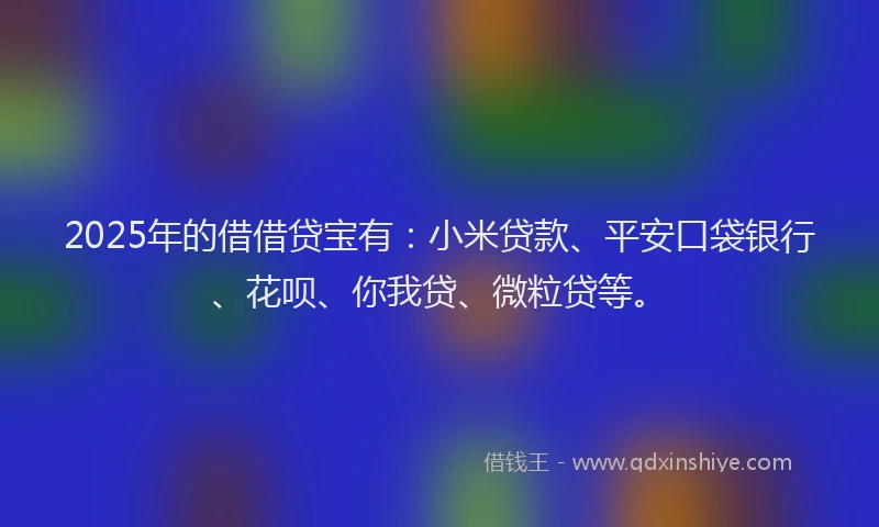 2025年的借借贷宝有：小米贷款、平安口袋银行、花呗、你我贷、微粒贷等。