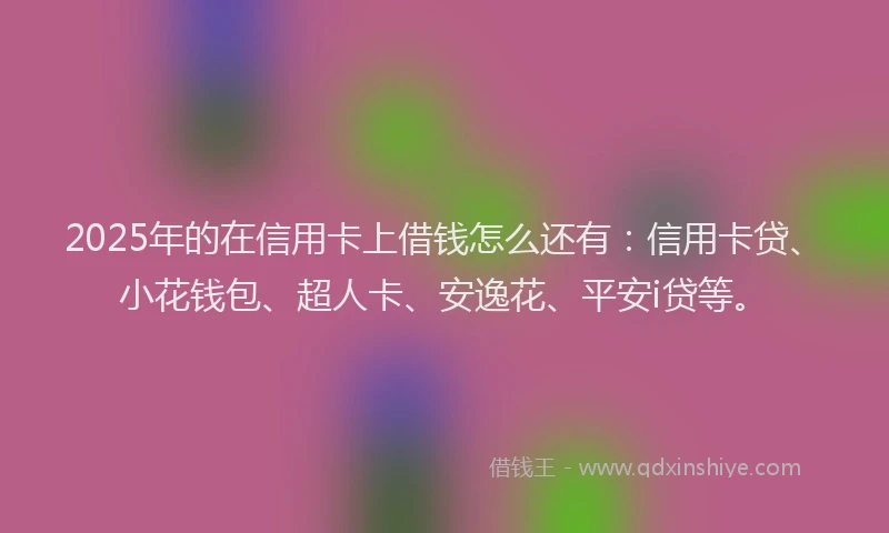 2025年的在信用卡上借钱怎么还有：信用卡贷、小花钱包、超人卡、安逸花、平安i贷等。