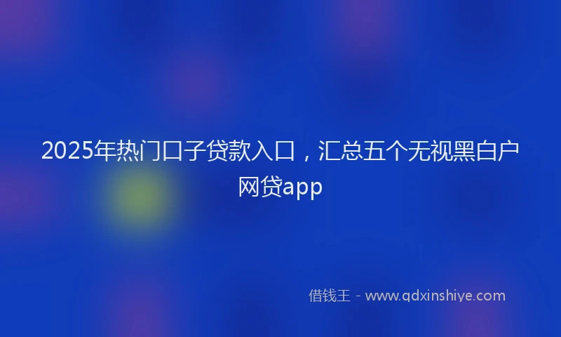2025年热门口子贷款入口，汇总五个无视黑白户网贷app