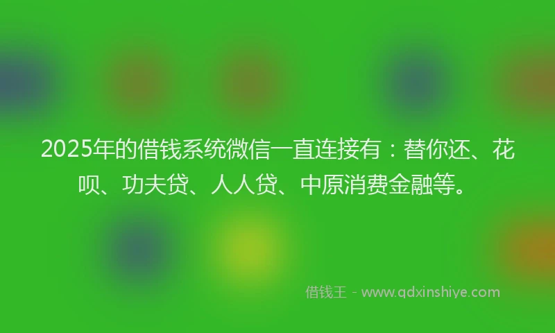 2025年的借钱系统微信一直连接有：替你还、花呗、功夫贷、人人贷、中原消费金融等。