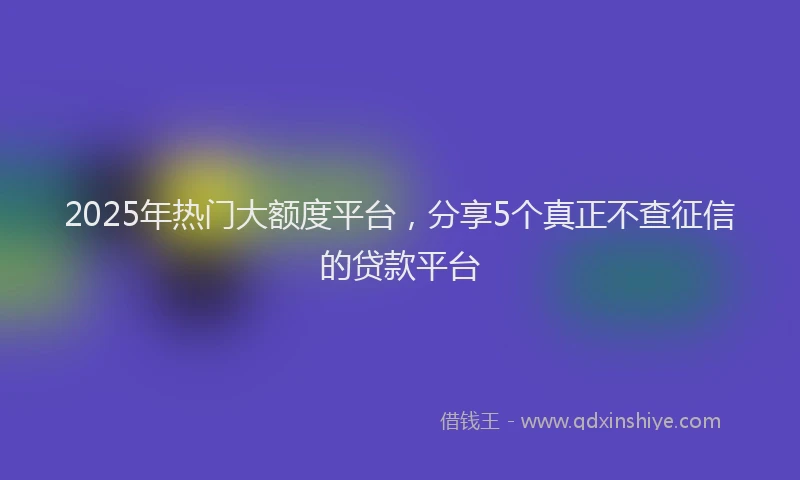 2025年热门大额度平台，分享5个真正不查征信的贷款平台