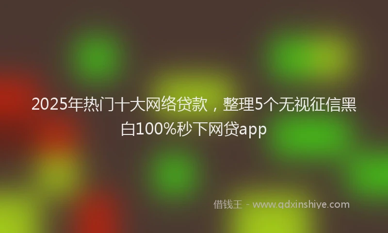 2025年热门十大网络贷款，整理5个无视征信黑白100%秒下网贷app