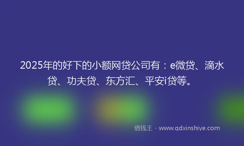 2025年的好下的小额网贷公司有：e微贷、滴水贷、功夫贷、东方汇、平安i贷等。