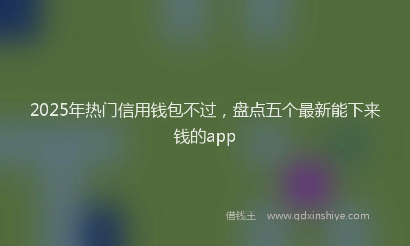 2025年热门信用钱包不过，盘点五个最新能下来钱的app