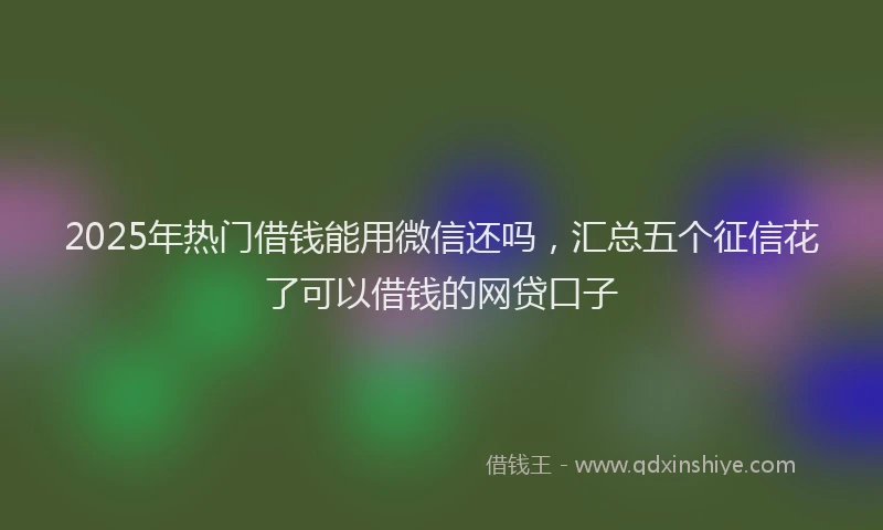 2025年热门借钱能用微信还吗，汇总五个征信花了可以借钱的网贷口子
