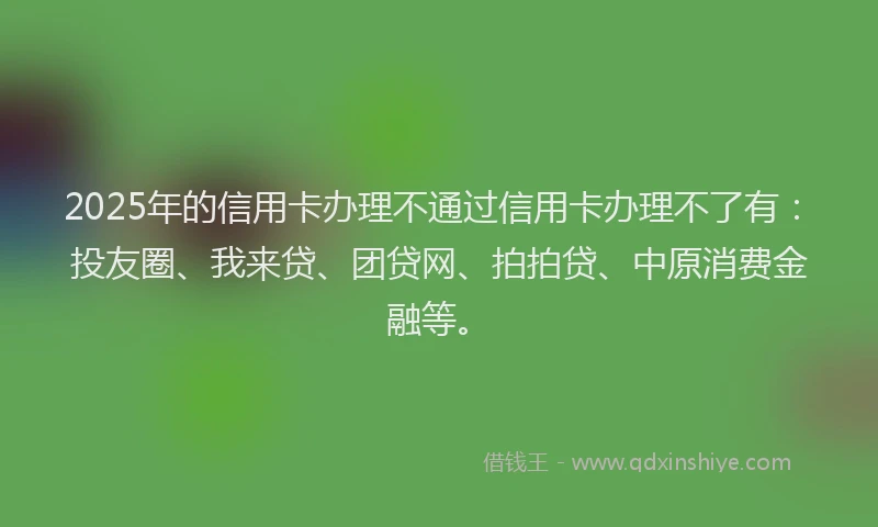 2025年的信用卡办理不通过信用卡办理不了有：投友圈、我来贷、团贷网、拍拍贷、中原消费金融等。