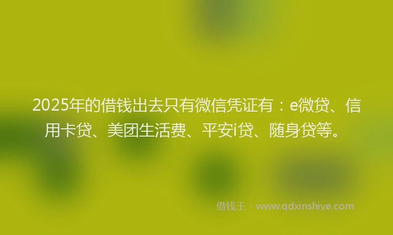 2025年的借钱出去只有微信凭证有：e微贷、信用卡贷、美团生活费、平安i贷、随身贷等。