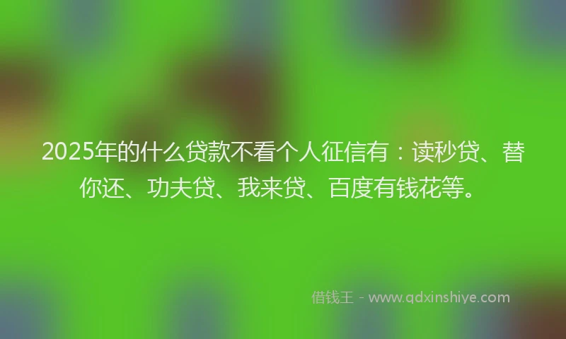 2025年的什么贷款不看个人征信有：读秒贷、替你还、功夫贷、我来贷、百度有钱花等。