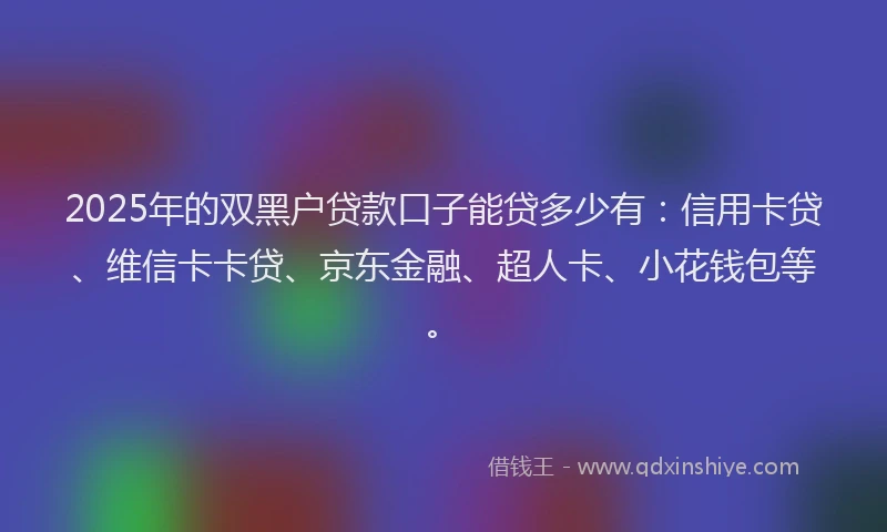 2025年的双黑户贷款口子能贷多少有：信用卡贷、维信卡卡贷、京东金融、超人卡、小花钱包等。