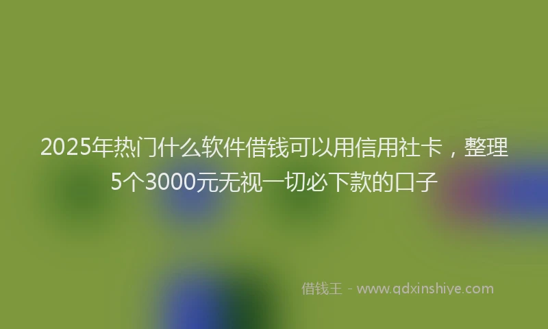 2025年热门什么软件借钱可以用信用社卡，整理5个3000元无视一切必下款的口子