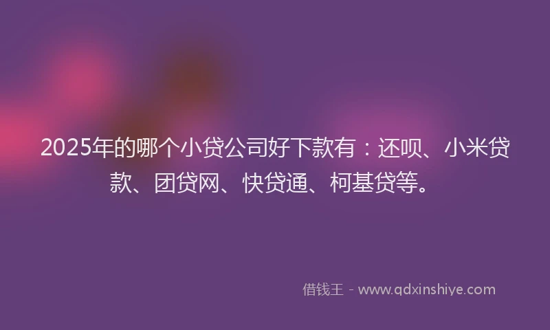2025年的哪个小贷公司好下款有：还呗、小米贷款、团贷网、快贷通、柯基贷等。