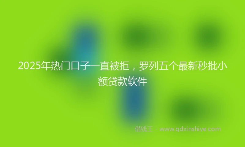 2025年热门口子一直被拒，罗列五个最新秒批小额贷款软件