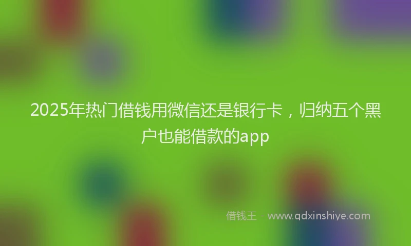 2025年热门借钱用微信还是银行卡，归纳五个黑户也能借款的app